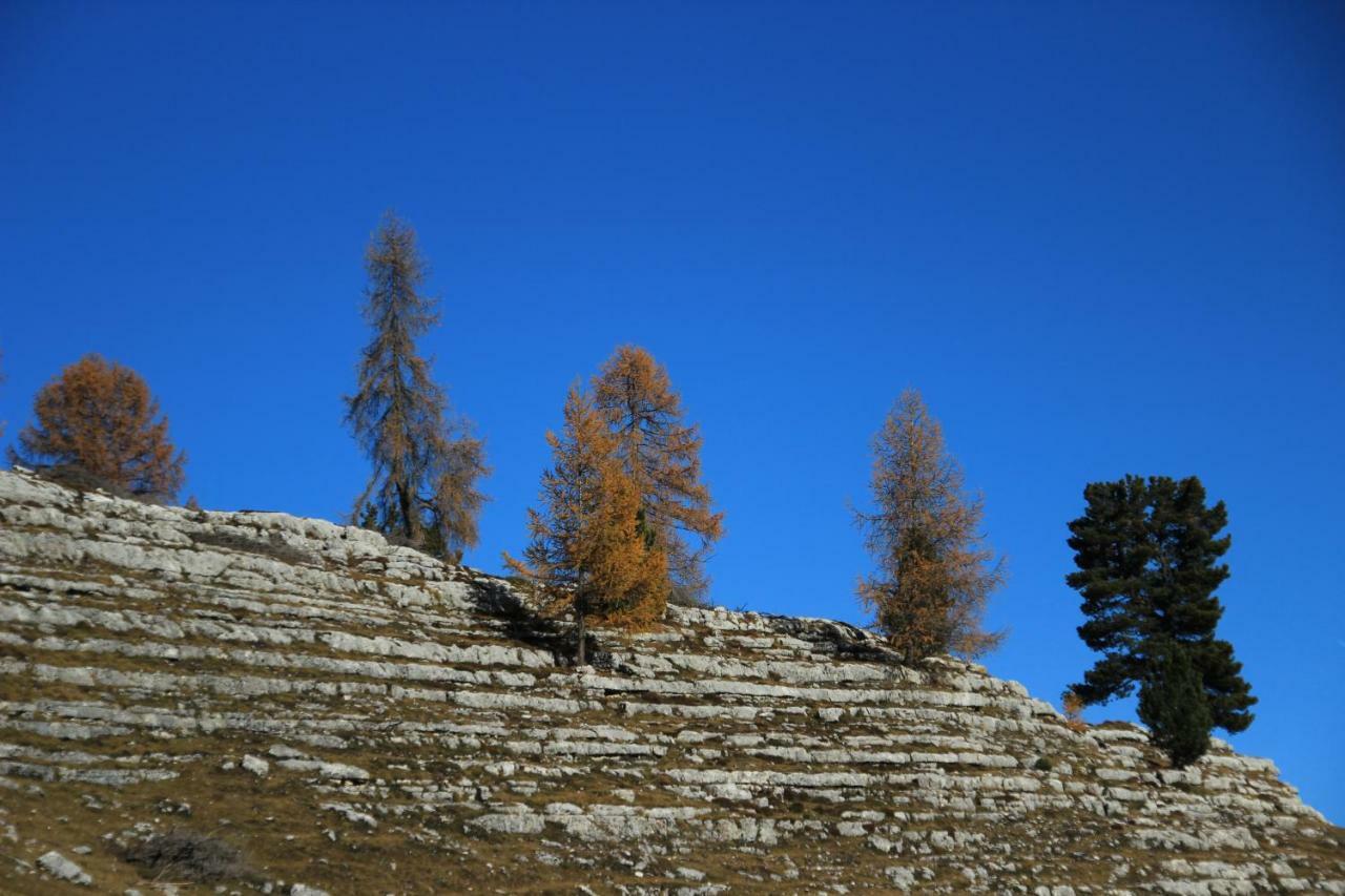 Pension Maria Antermoia Buitenkant foto